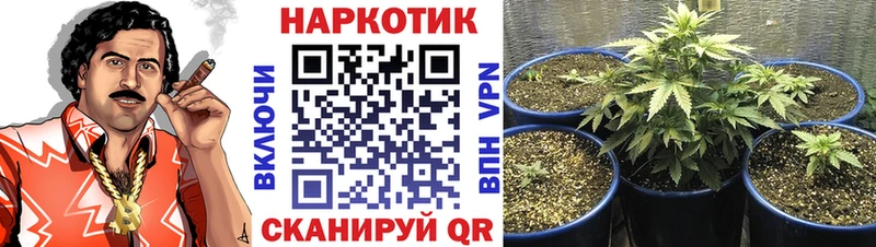 NBOMe Петровск-Забайкальский
