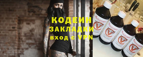 гидра Михайловка