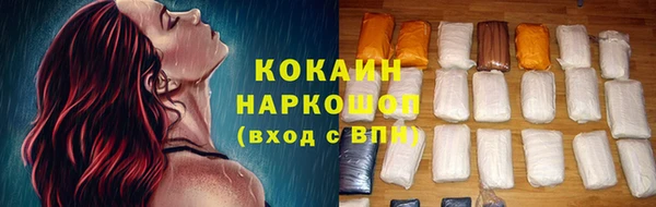 гидра Михайловка