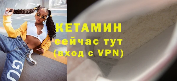 гидра Михайловка
