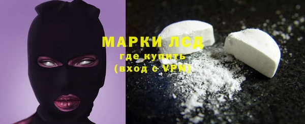 гидра Михайловка