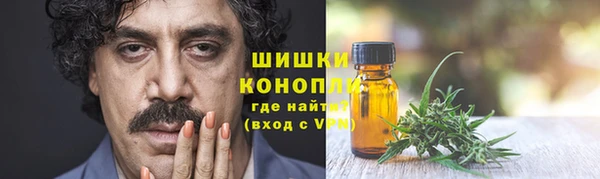 гидра Михайловка