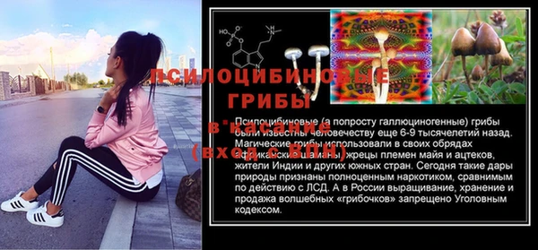 спайс Михайлов