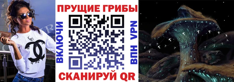 Купить  Петровск-Забайкальский  Галлюциногенные грибы мухоморы 