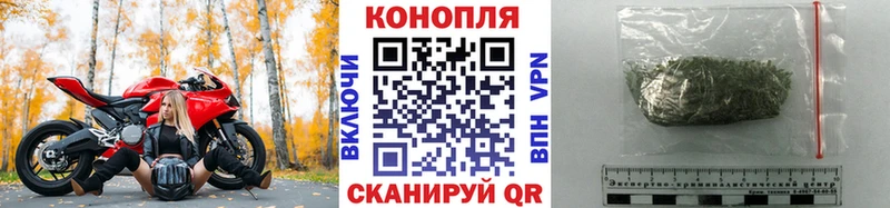Купить где  Петровск-Забайкальский  Конопля тримм 